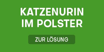 Katzenurin aus Polster entfernen